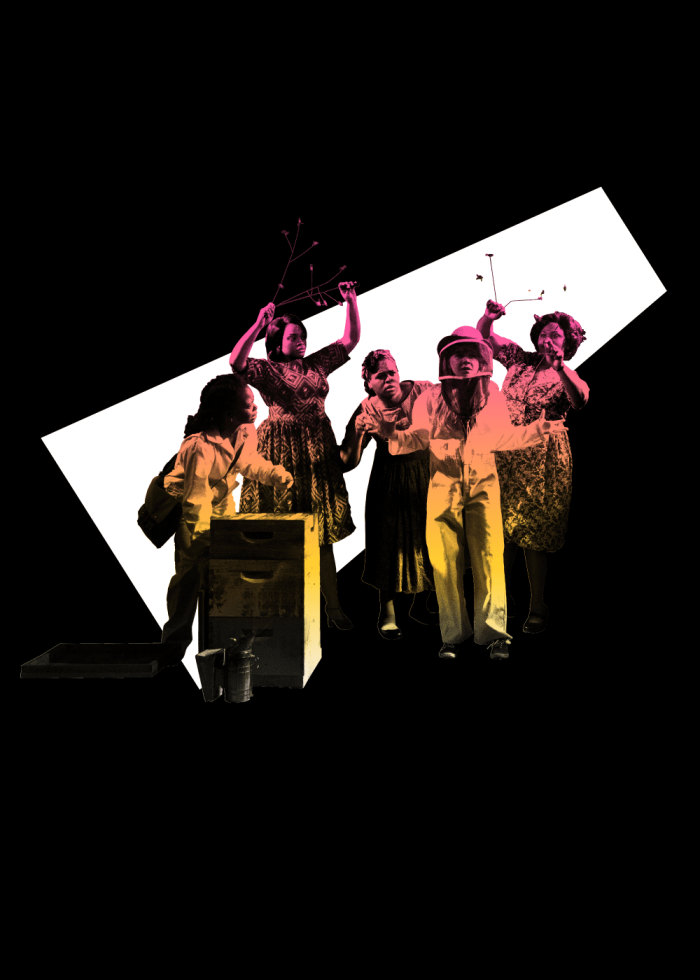 Five women tending to beehives, exploring the secret life of bees.