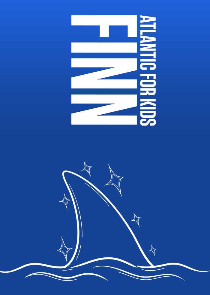 FINN Website Art 700x980 2.75