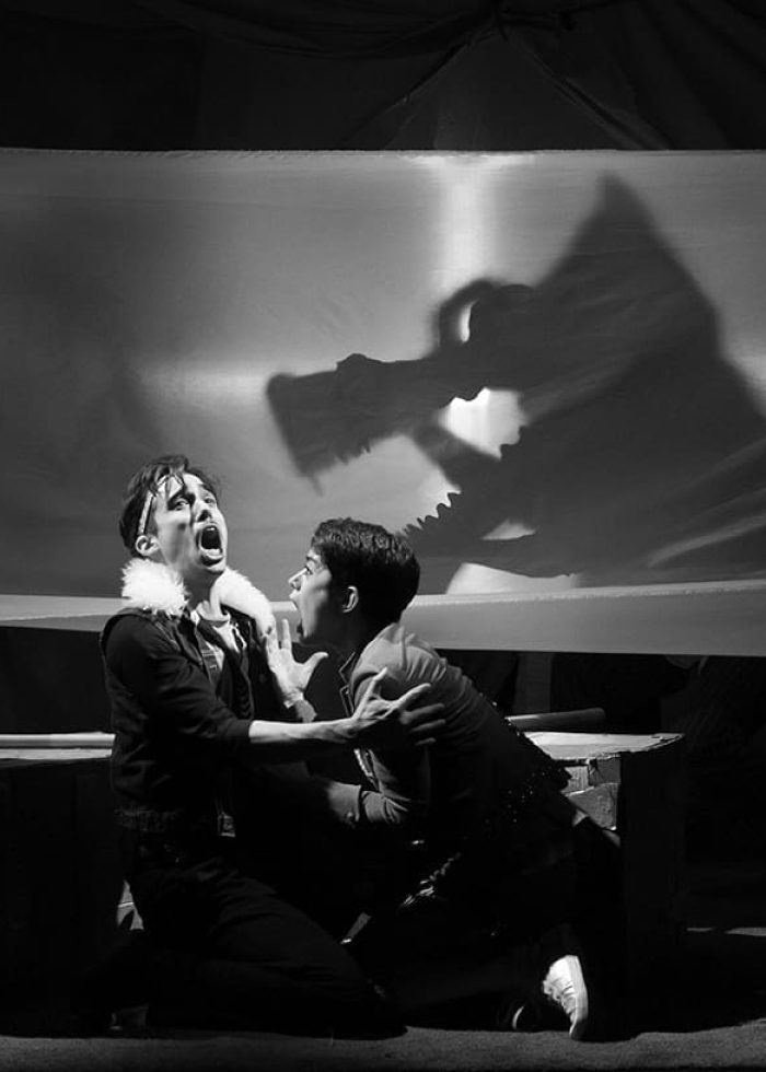 Dramatic stage performance with actors and dragon shadow. A great thing to do in NYC.