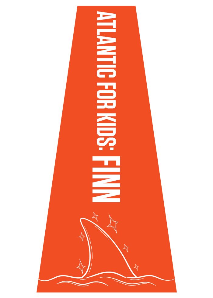Website Art 700x980 - FINN